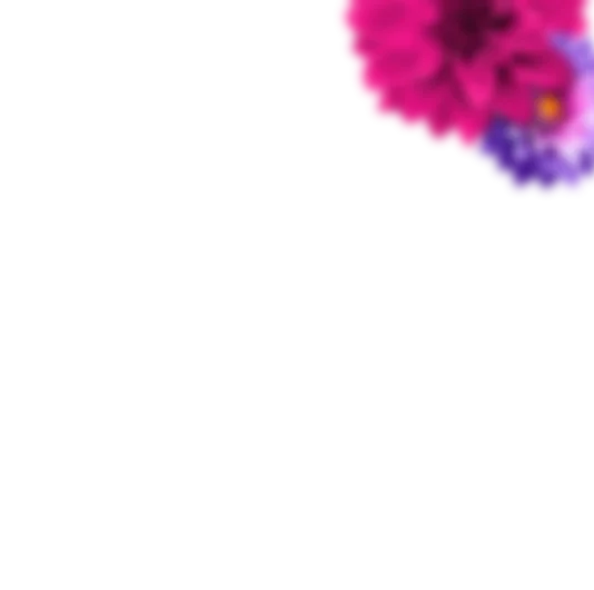 elemento 3